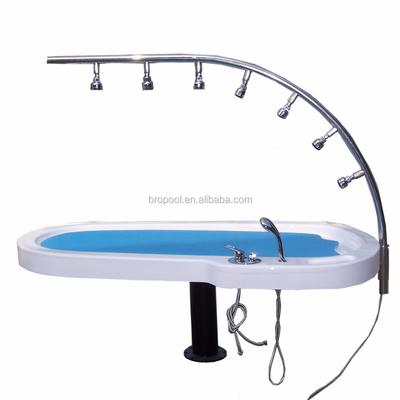 Chức năng trị liệu thủy sinh trên giường tắm bằng nhựa Acrylic màu trắng